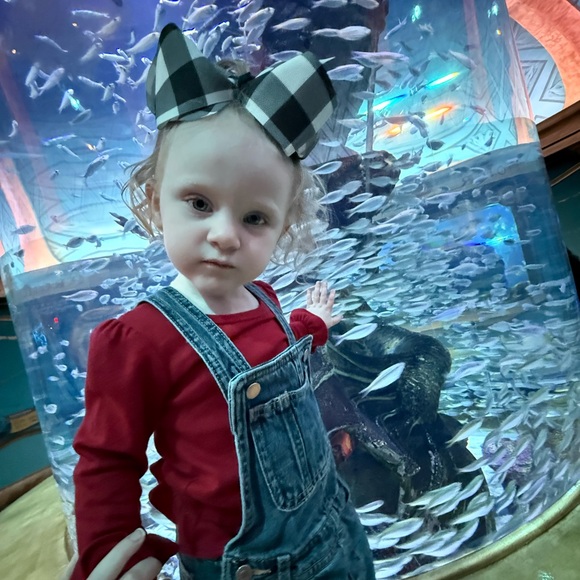 Meet your Posher, Stephanie - Picture 8 of 13